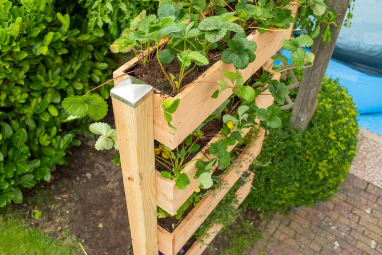 Workshop (1/2 day) Make a vertical herb garden - Image 1