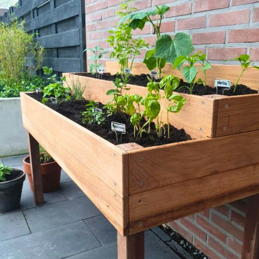 Workshop (1/2 day): Vegetable garden box - Image 1