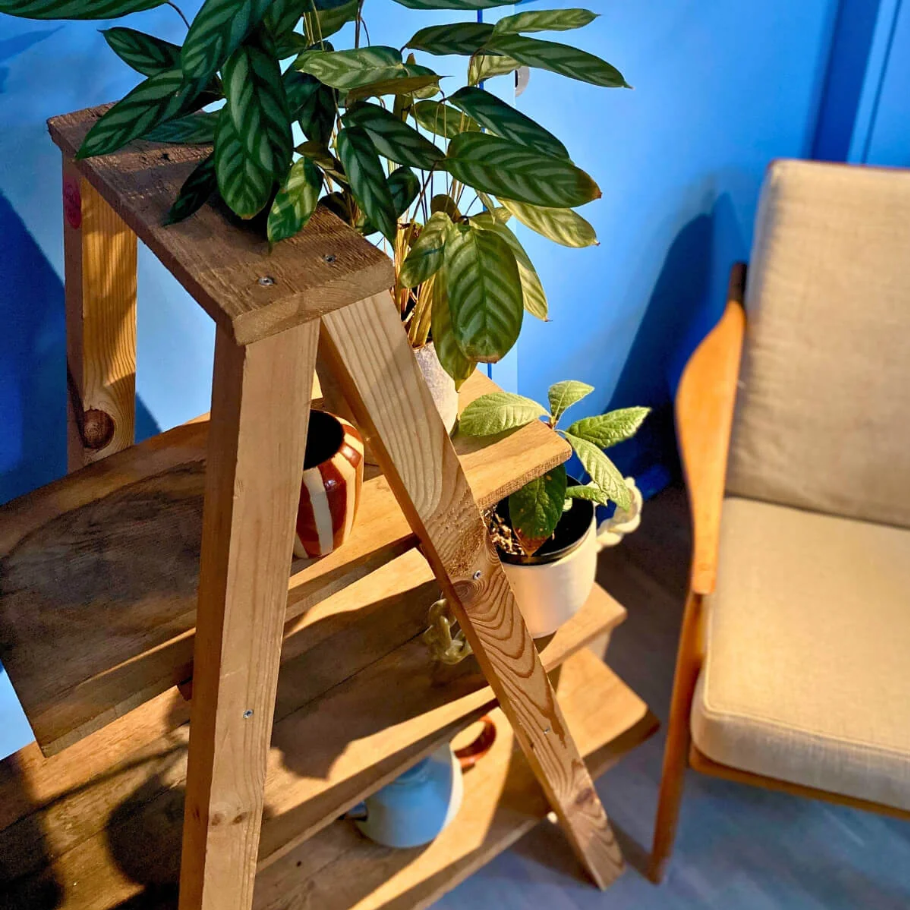 Workshop (1/2 day): Plant table - Image 1
